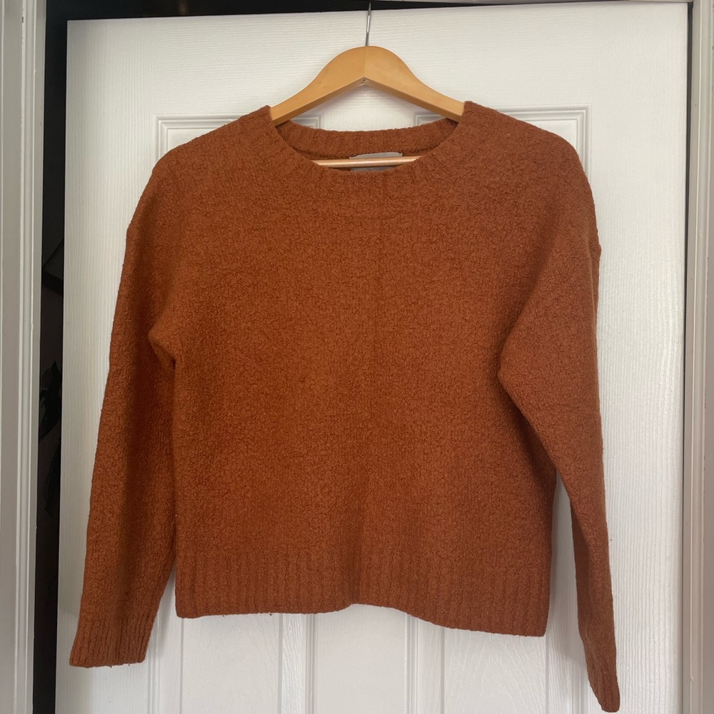 Everlane Teddy Sweater M/L